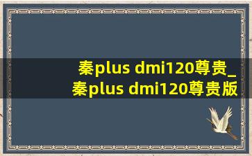 秦plus dmi120尊贵_秦plus dmi120尊贵版